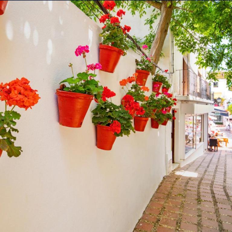Beach apartment in Golden Mile / Puerto Banus - Two-Bedroom Apartment - 39