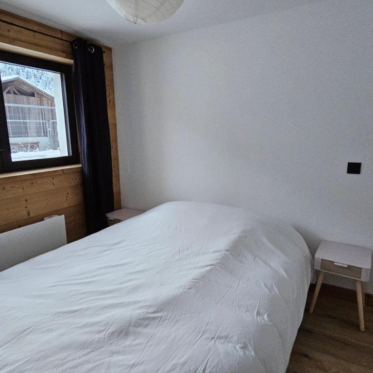 Au pied des pistes - grand appartement 200m2 14 pers - Appartement - 30
