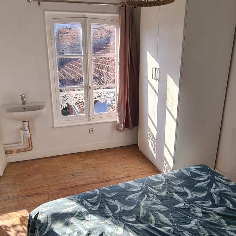 Superbe 2 pièces45 m2 calme ensoleillé hypercentre - One-Bedroom Apartment - 5