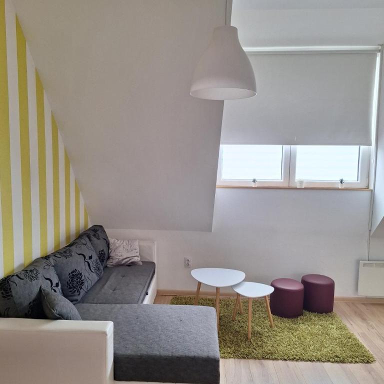 Apartman R&M Kraljevi čardaci - Apartman sa 2 Spavaće Sobe - 11