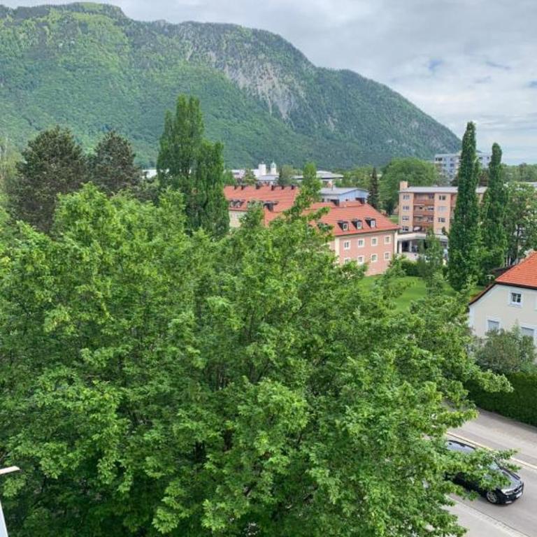 501, Schlafzimmer, Wohnzimmer, Küche und Bad mit Bergblick - Apartment mit 1 Schlafzimmer - 6