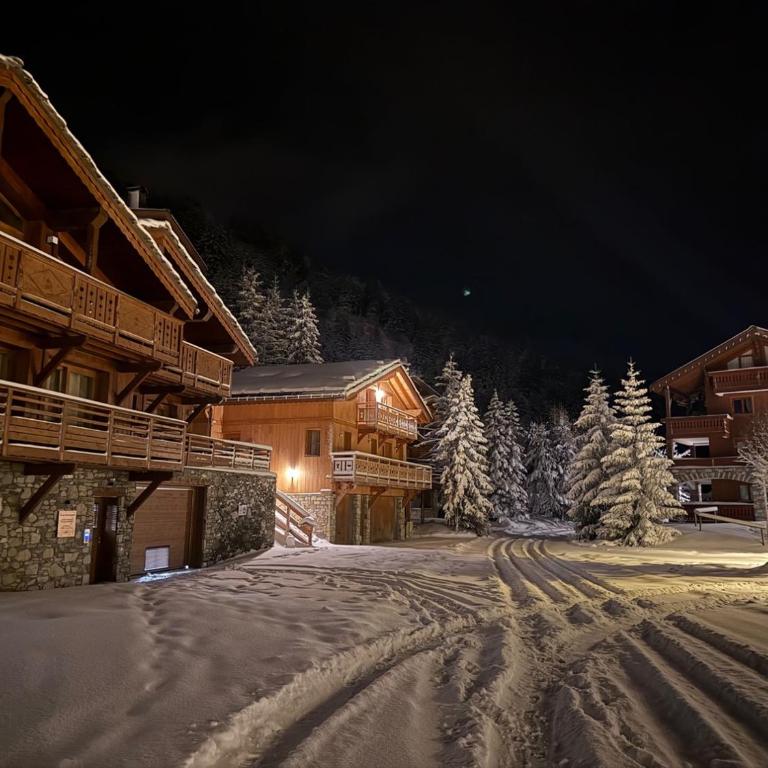 Appartement neuf haut de gamme esprit chalet à Méribel - 4 couchages - Appartement 2 Chambres - 1
