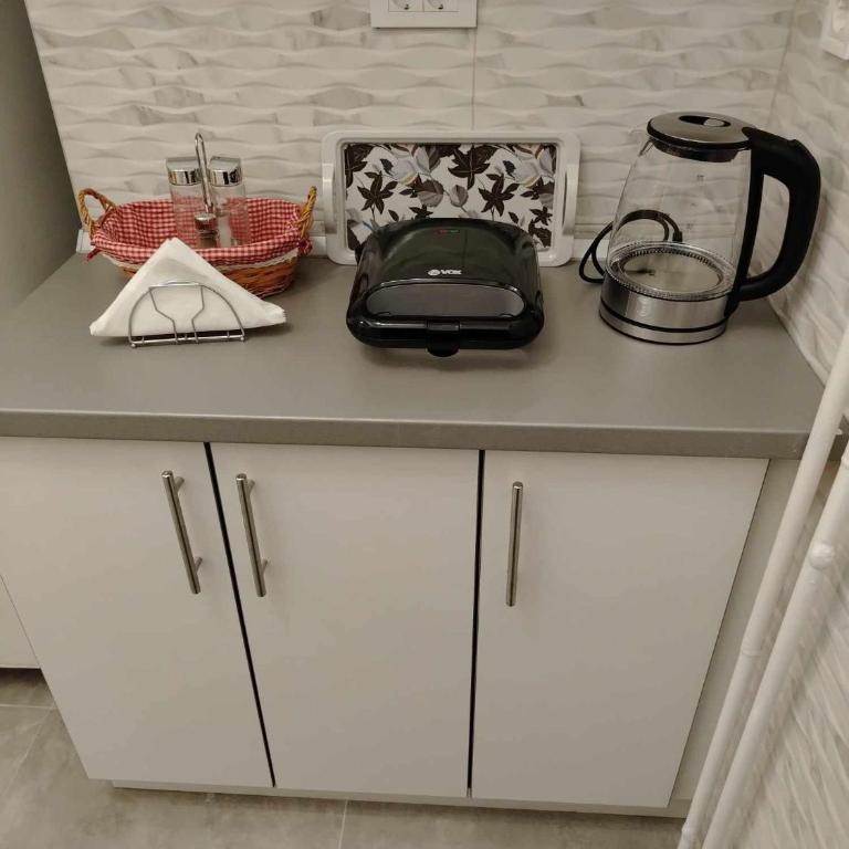 Star Apartment Belgrade 1 - Apartman sa 1 Spavaćom Sobom - 29