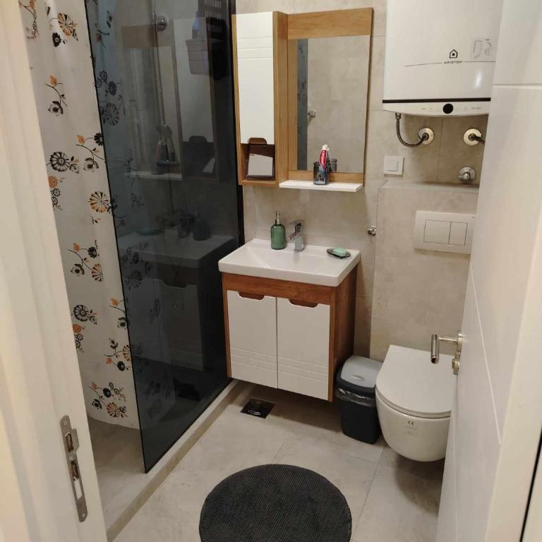 Star Apartment Belgrade 1 - Apartman sa 1 Spavaćom Sobom - 53