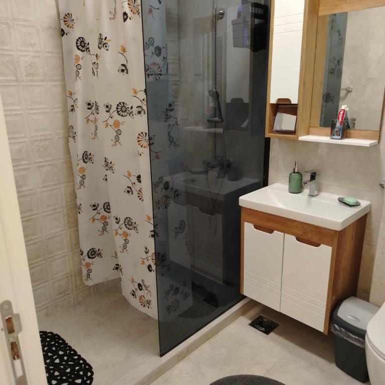 Star Apartment Belgrade 1 - Apartman sa 1 Spavaćom Sobom - 54