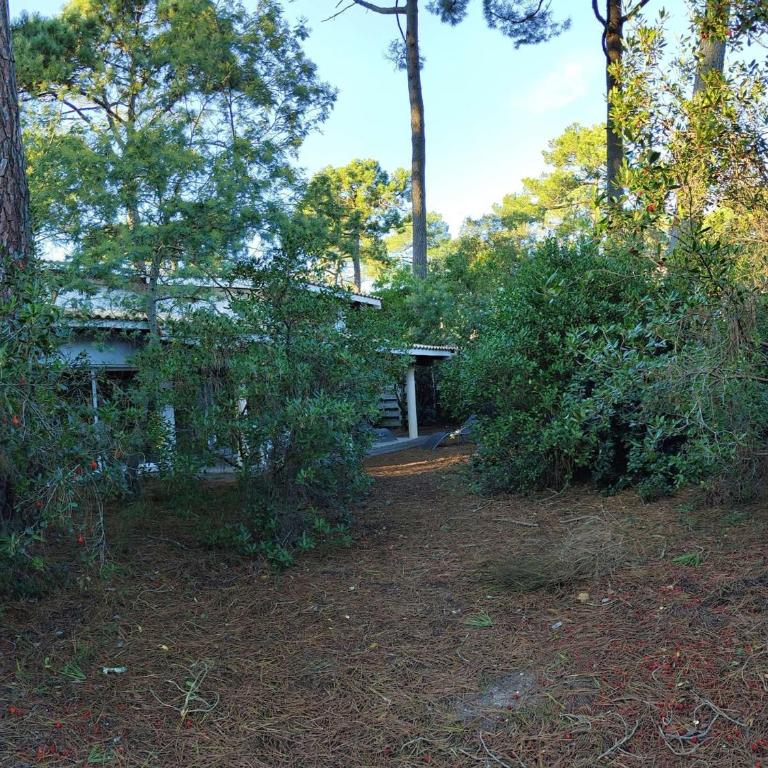Villa en lisière de forêt avec jardin, à 1,5 km de l'Océan, idéale pour des vacances reposantes - Villa 3 Chambres - 2