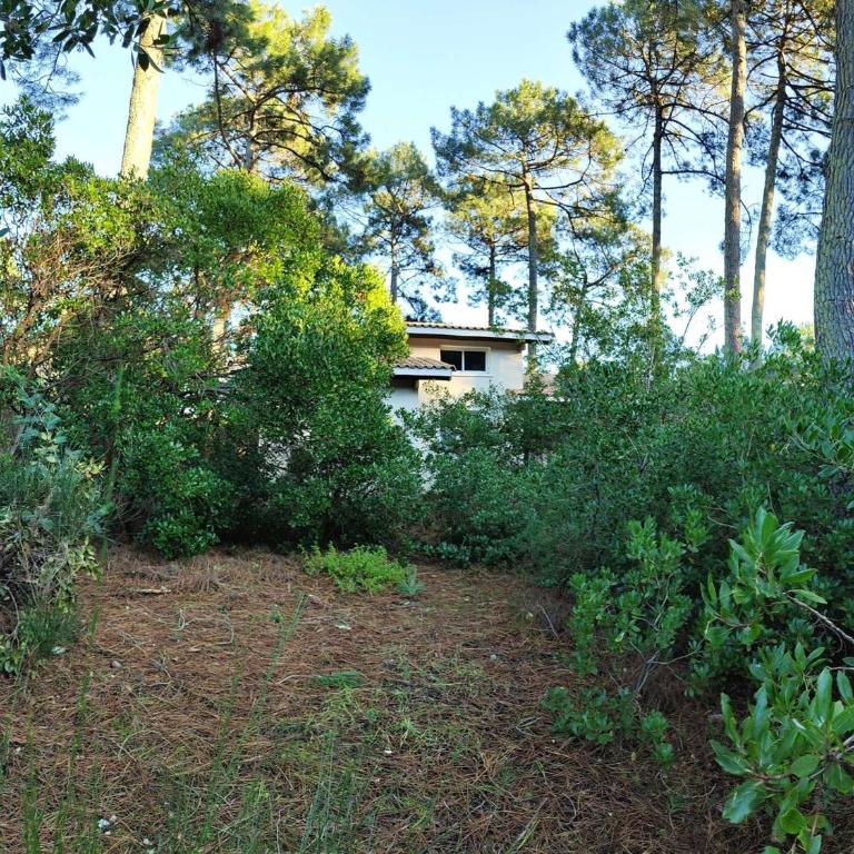 Villa en lisière de forêt avec jardin, à 1,5 km de l'Océan, idéale pour des vacances reposantes - Villa 3 Chambres - 9