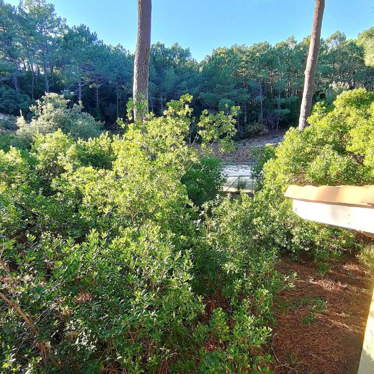 Villa en lisière de forêt avec jardin, à 1,5 km de l'Océan, idéale pour des vacances reposantes - Villa 3 Chambres - 15