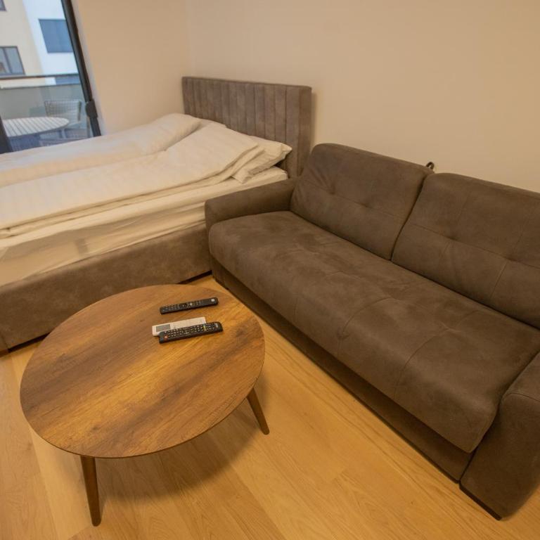 Central Suite - One-Bedroom Apartment - 6