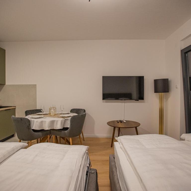 Central Suite - One-Bedroom Apartment - 21