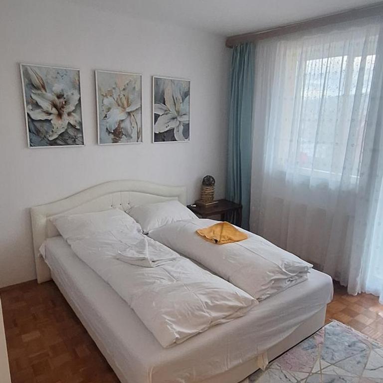 Apartman Sky-Parking-Garage - Apartman sa 2 Spavaće Sobe - 13