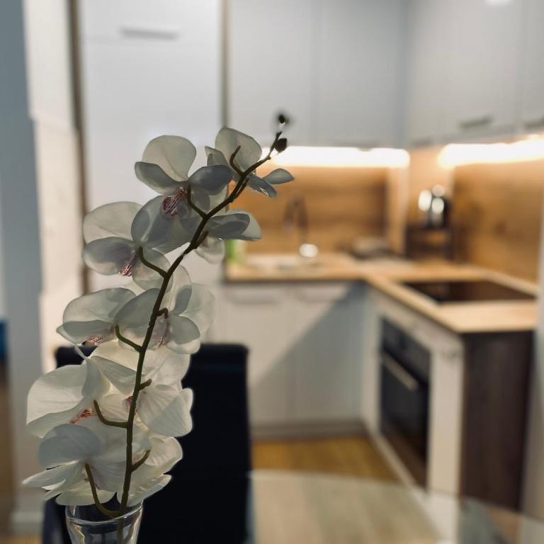 Apartman Tayra Jahorina - Two-Bedroom Apartment - 2