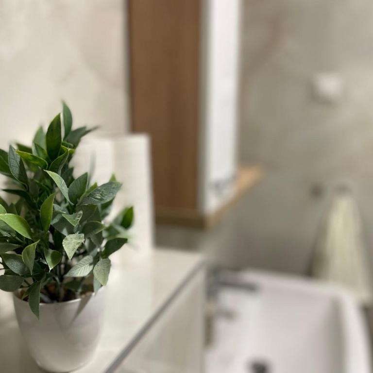 Apartman Tayra Jahorina - Two-Bedroom Apartment - 19
