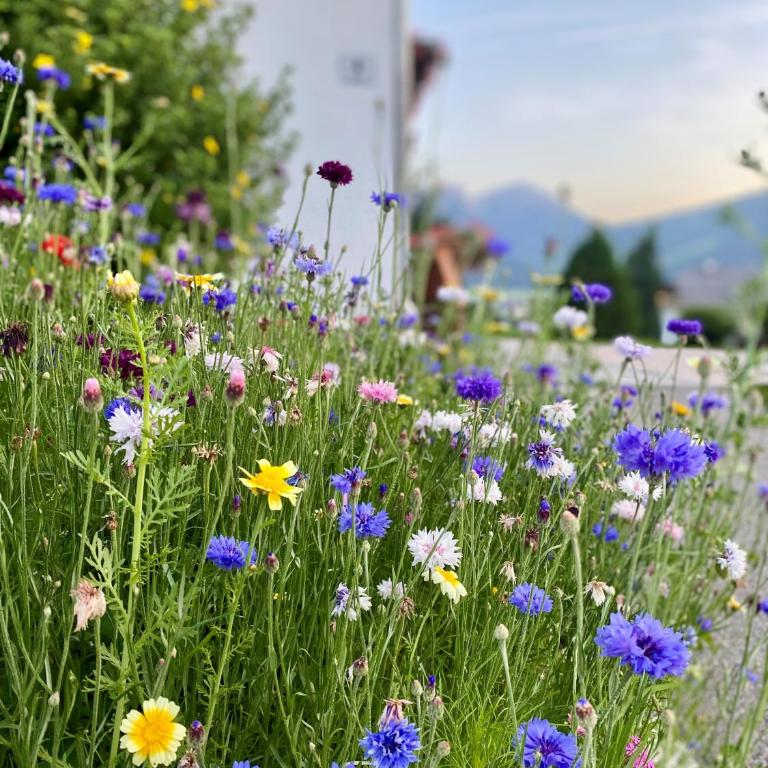 Appartements Wiesenheim - Appartamento con 1 Camera da Letto e Balcone - 28