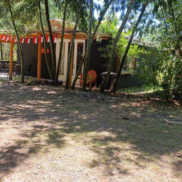 Las palmeras de Colbún - Habitación Doble - 9