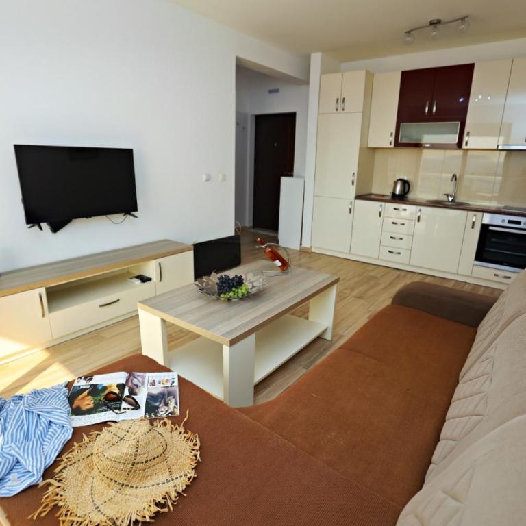 Apartmani Tajra Veliki Pijesak - One-Bedroom Apartment with Sea View - 4
