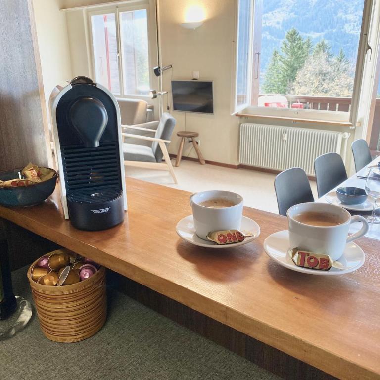 Jungfraujoch, Chalet Ski In&Out, Wengen, Valley view - Apartment mit 2 Schlafzimmern - 8