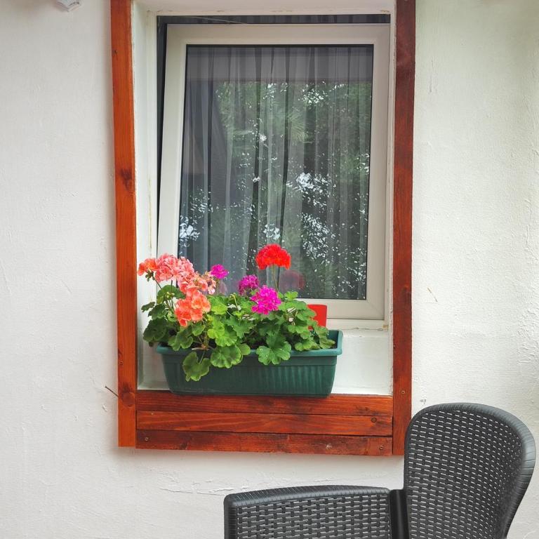 Apartment Smokva - Studio sa Terasom - 16