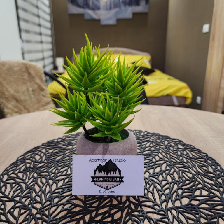Studio Planinski san Divčibare - Apartman sa 1 Spavaćom Sobom - 30