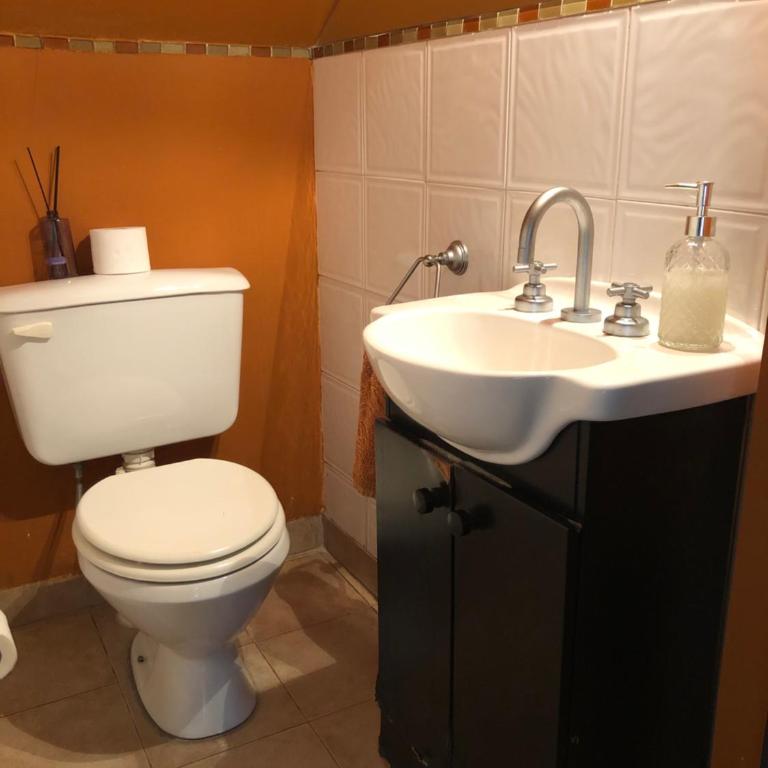 El Portal de la Viña - Casa - 38