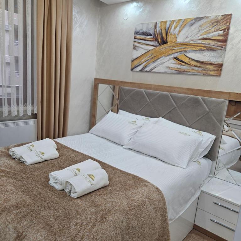 Exclusive apartmants 1 Vrnjacka Banja - Apartman sa 1 Spavaćom Sobom - 55
