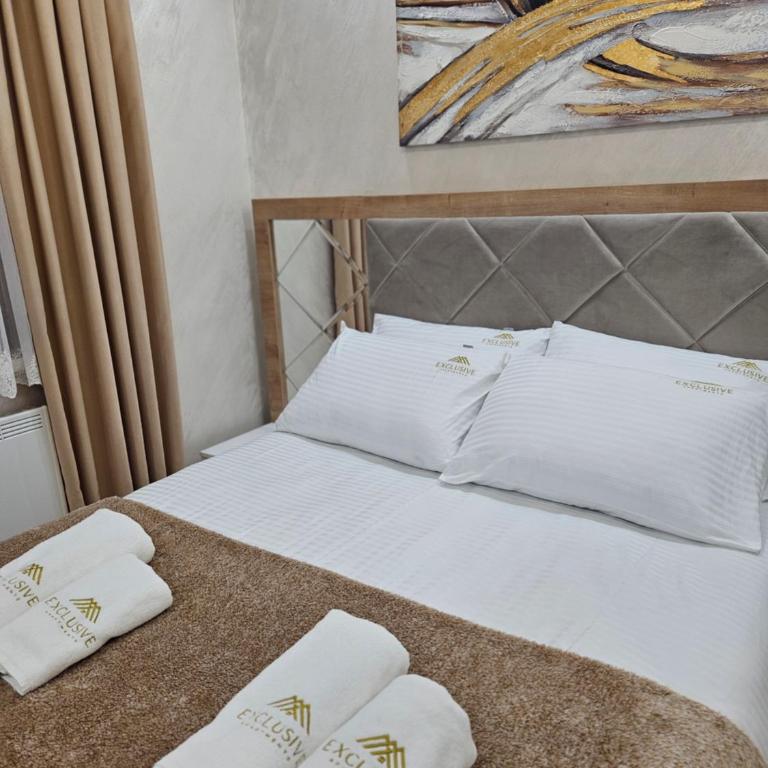 Exclusive apartmants 1 Vrnjacka Banja - Apartman sa 1 Spavaćom Sobom - 53