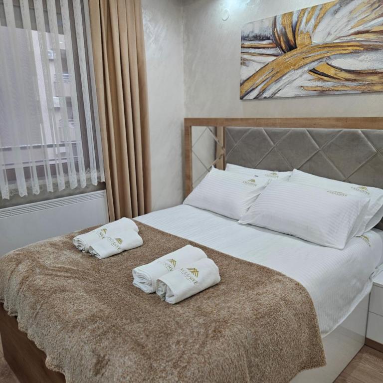 Exclusive apartmants 1 Vrnjacka Banja - Apartman sa 1 Spavaćom Sobom - 50