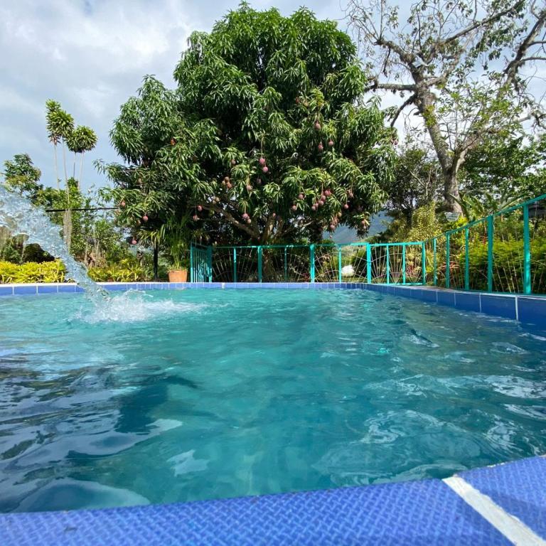 Villa Sonia Eco-Hostel - Bungalow Deluxe - 1