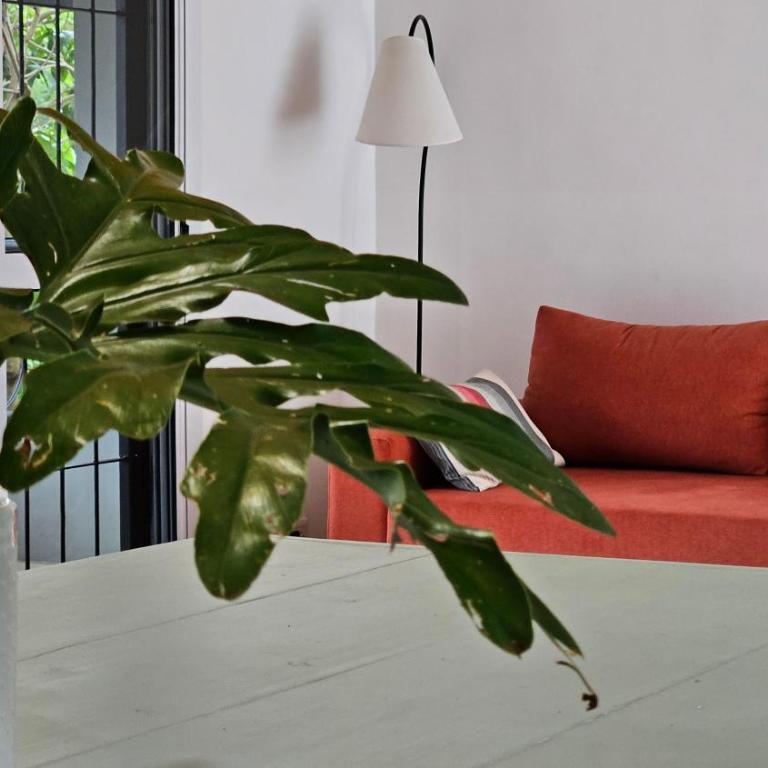 Amplio Departamento en Puerto Iguazú con Balcón - Apartamento de 2 dormitorios con balcón - 65