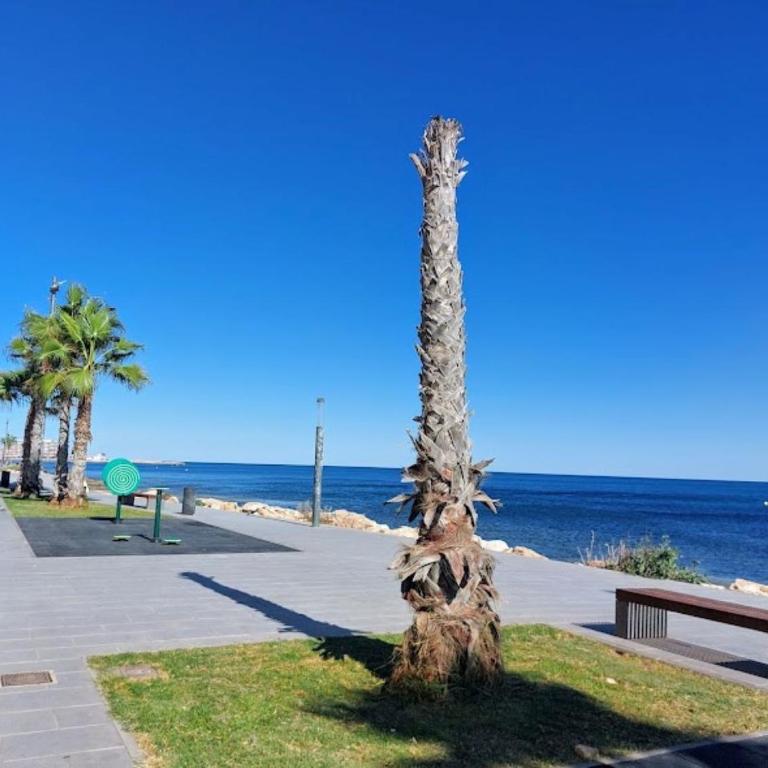 Apartamento Centro Torrevieja - Apartamento de 2 dormitorios - 9