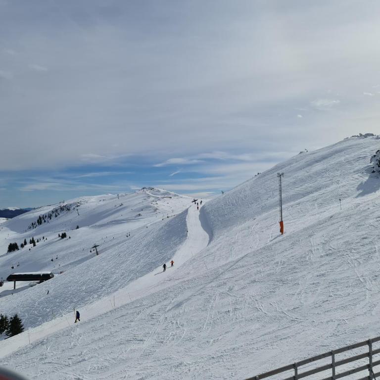 Apartment Violet Jahorina - Apartman sa 1 Spavaćom Sobom - 52