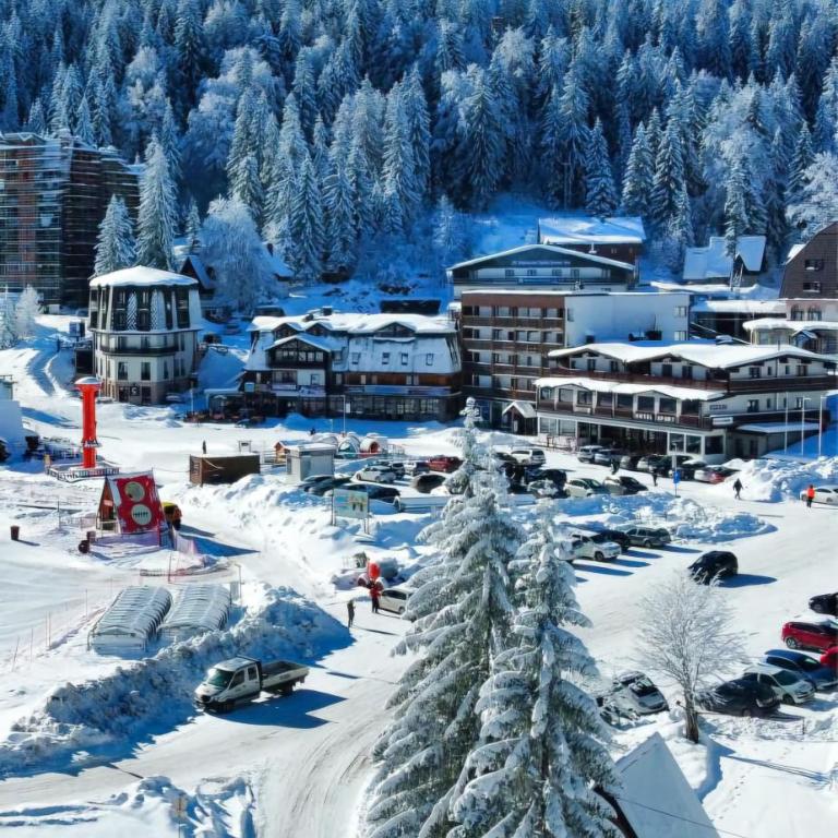 Apartment Violet Jahorina - Apartman sa 1 Spavaćom Sobom - 58