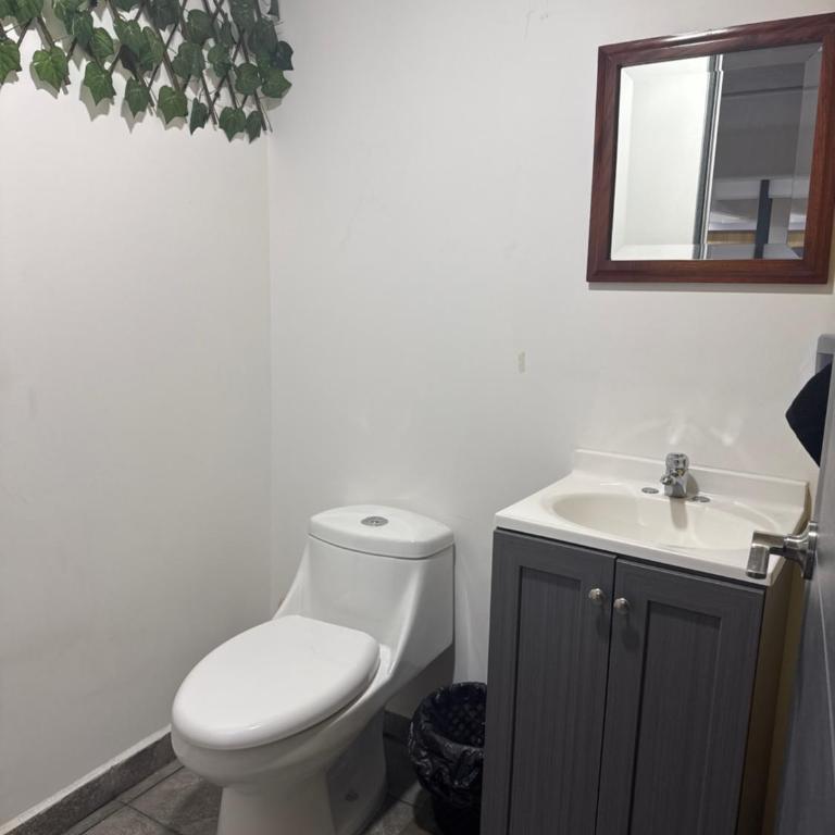 Habitación - Apartamento de 1 dormitorio - 3