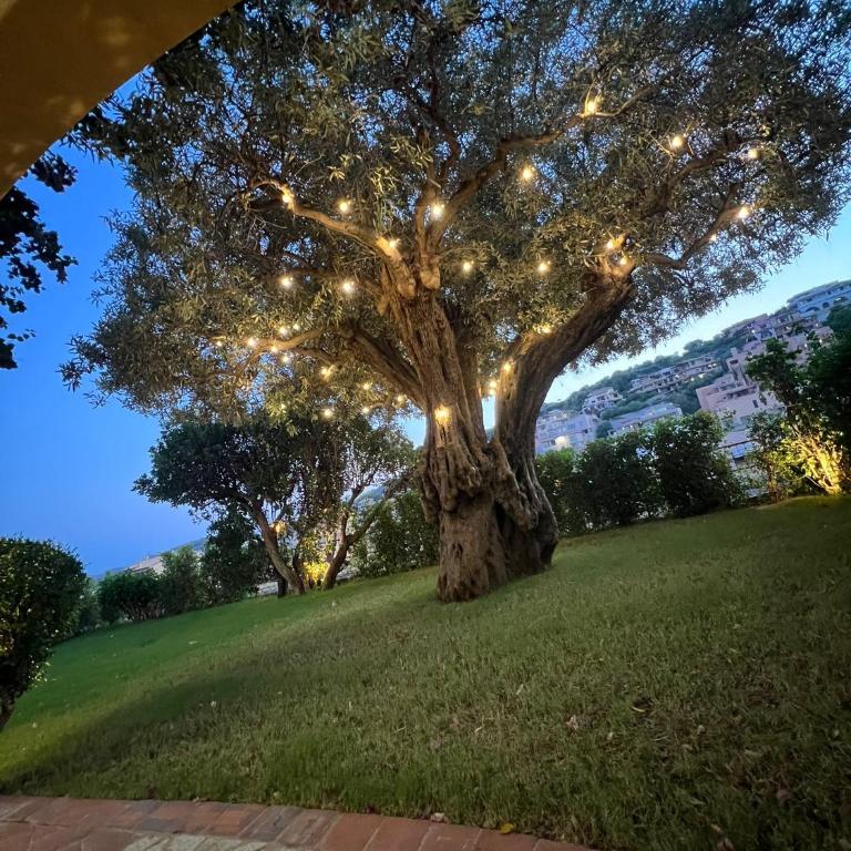 Relax Villasimius - Casa Vacanze con 4 Camere da Letto - 2