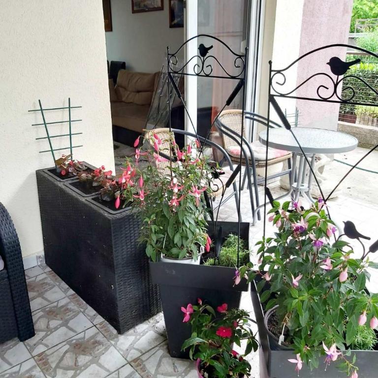 Apartman Lola - Apartman sa 1 Spavaćom Sobom - 3