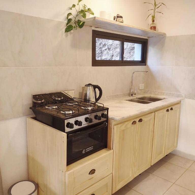 Refugio del Valle - Apartamento de 1 dormitorio - 6