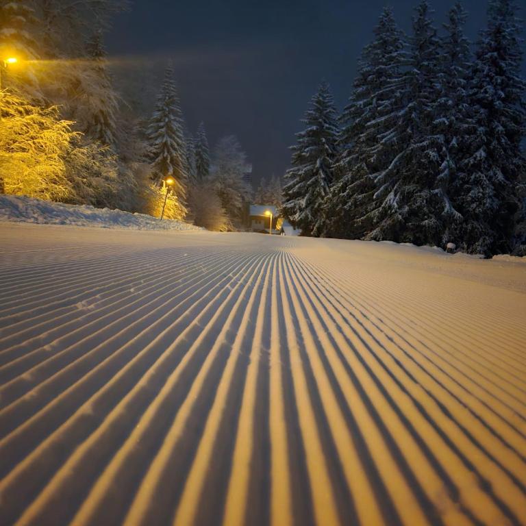 Apartman Colorado - One-Bedroom Apartment - 6