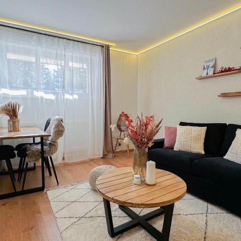 Grand studio au cœur de Crans et au pied des pistes - Appartement 1 Chambre - 1