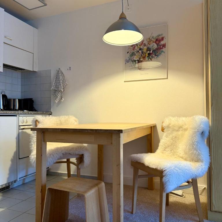 Davos Mountain View Studio 200 m Skilift Parsenn - Apartment - 7