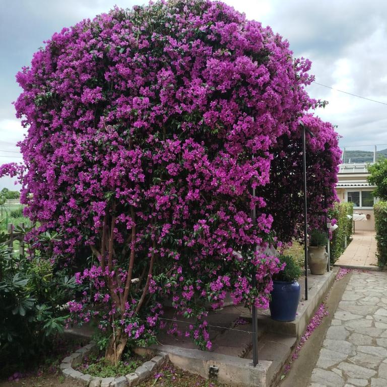 Casa Rosella - Casa Vacanze con 4 Camere da Letto - 37