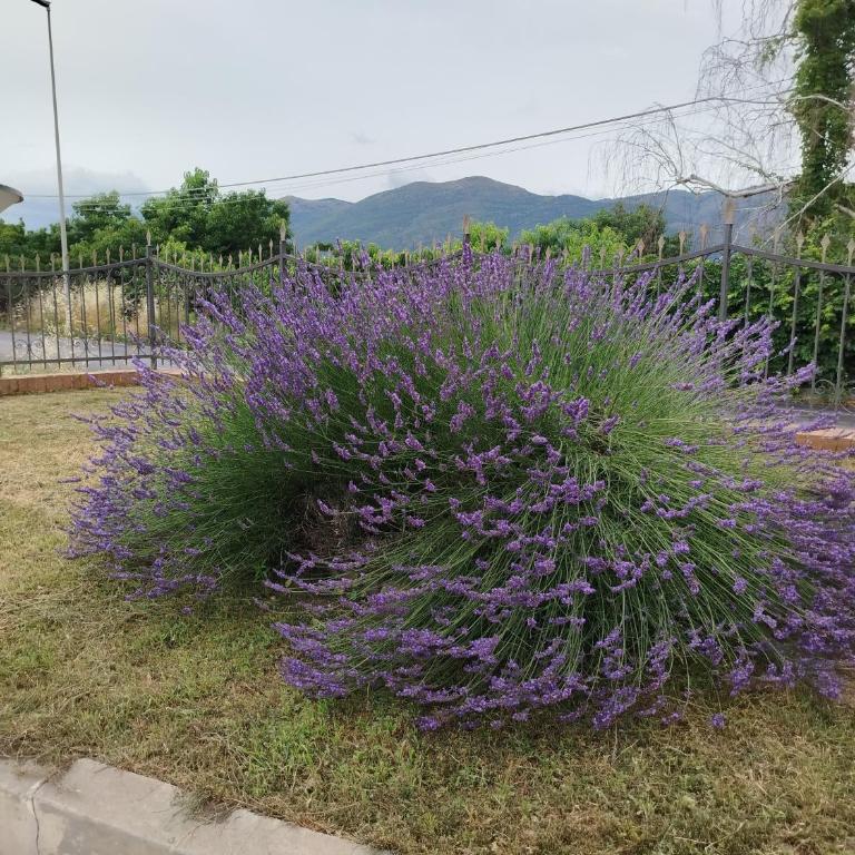 Casa Rosella - Casa Vacanze con 4 Camere da Letto - 40