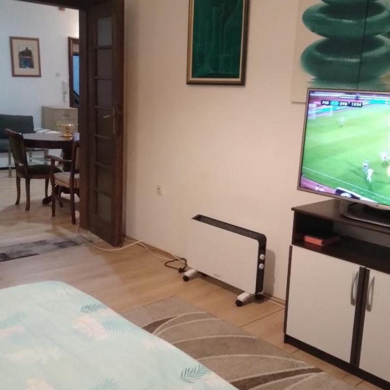 Apartman Centar Sava - Apartman sa 1 Spavaćom Sobom - 2