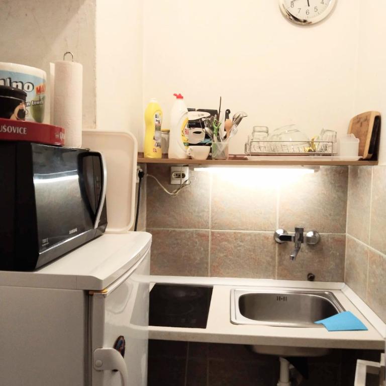 Apartman Centar Sava - Apartman sa 1 Spavaćom Sobom - 14