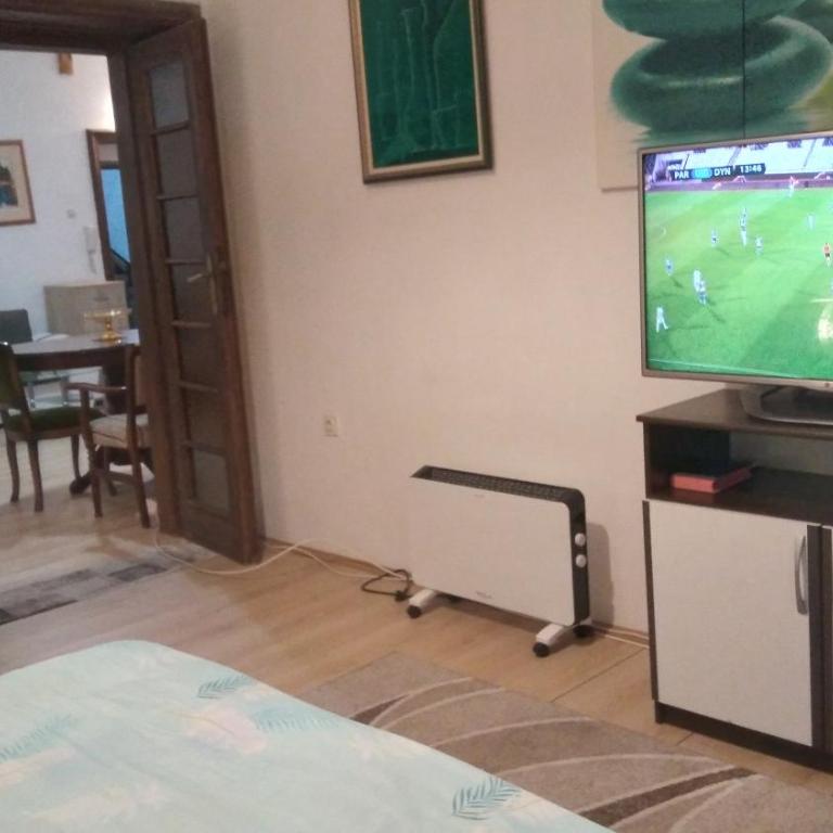 Apartman Centar Sava - Apartman sa 1 Spavaćom Sobom - 11