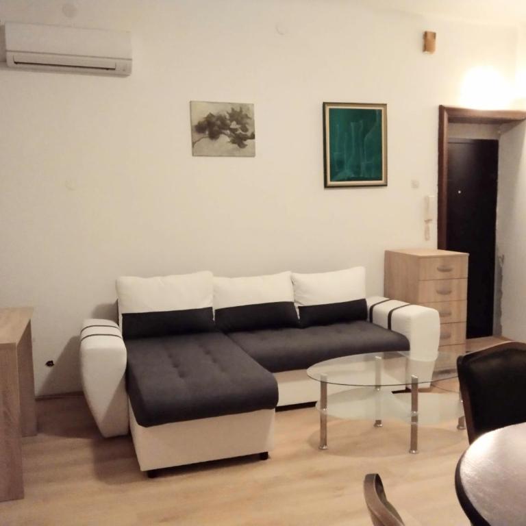 Apartman Centar Sava - Apartman sa 1 Spavaćom Sobom - 1