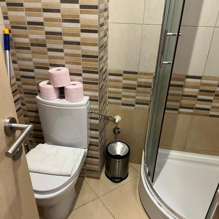 Vila Kopaonik Apartmani Milenkovic - Standardni Trokrevetni Studio - 28