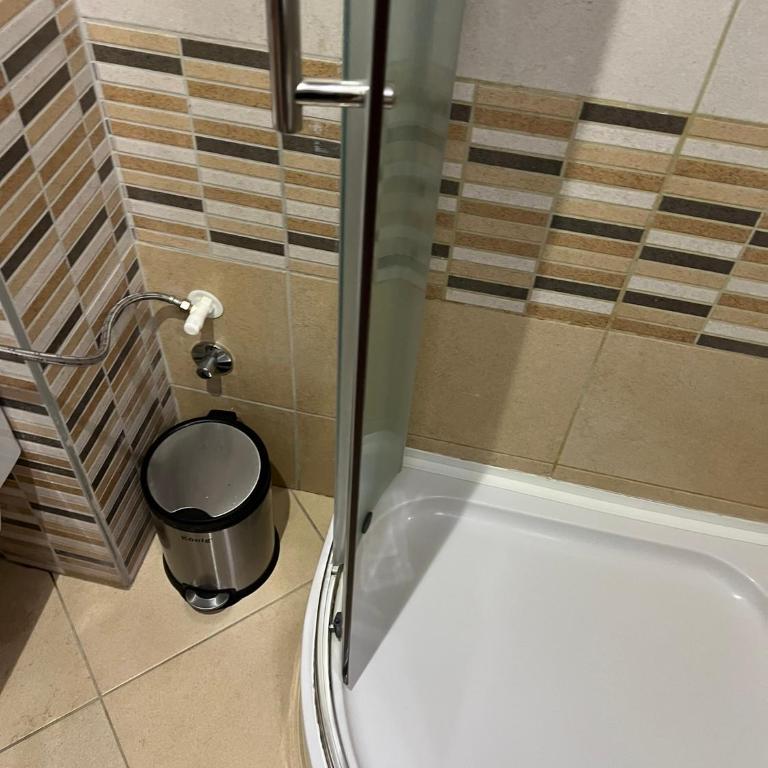 Vila Kopaonik Apartmani Milenkovic - Standardni Trokrevetni Studio - 26