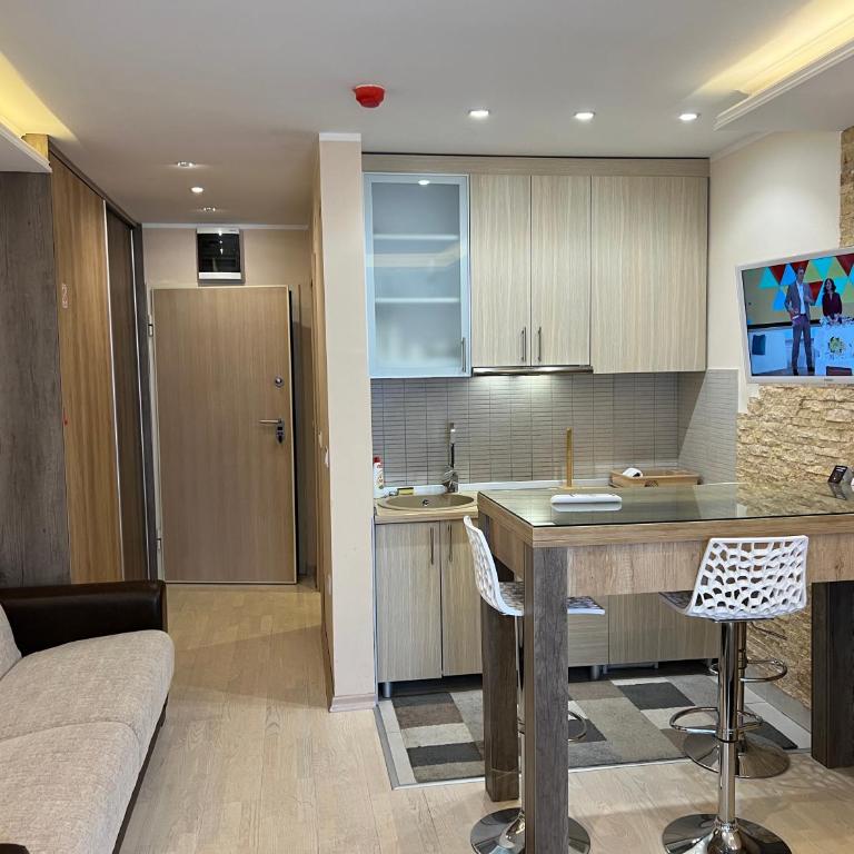 Vila Kopaonik Apartmani Milenkovic - Standardni Trokrevetni Studio - 22