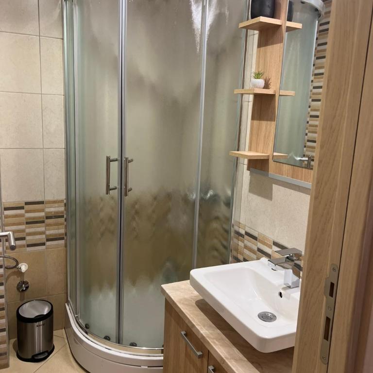 Vila Kopaonik Apartmani Milenkovic - Standardni Trokrevetni Studio - 19