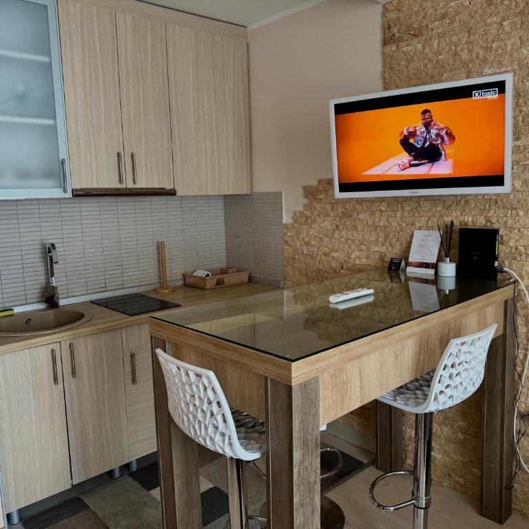 Vila Kopaonik Apartmani Milenkovic - Standardni Trokrevetni Studio - 18